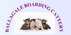 Ballagale Boarding Cattery